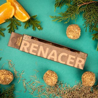 Bombita Herbal x4 Renacer